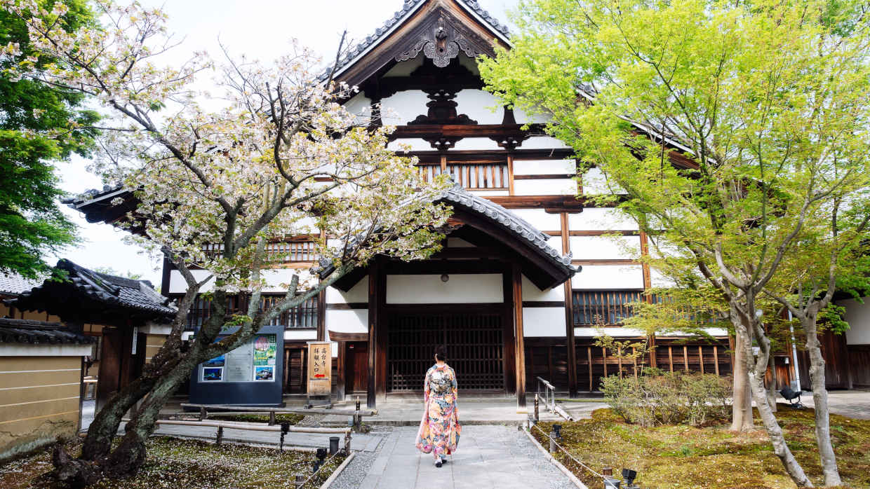 Bonsai Suiseki Magazine libri e risorse gratuite per chi si avvicina ai bonsai e dei suiseki