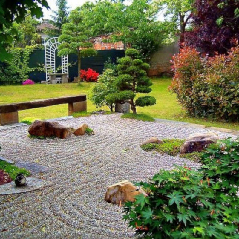 Bonsai Suiseki Magazine libri e risorse gratuite per chi si avvicina ai bonsai e dei suiseki